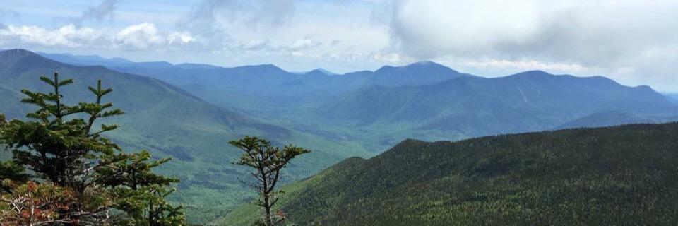 eelleeennaa's profile banner image