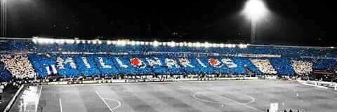 cesepu's profile banner image
