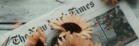 McCartney_Girl's profile banner image
