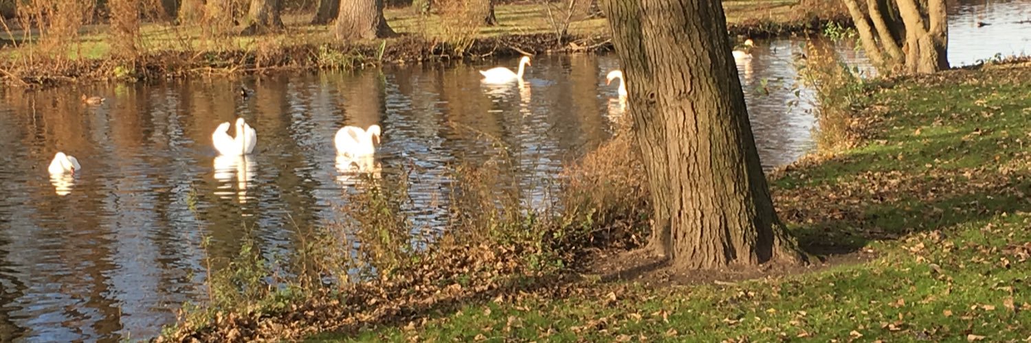 Janette Rutterford banner