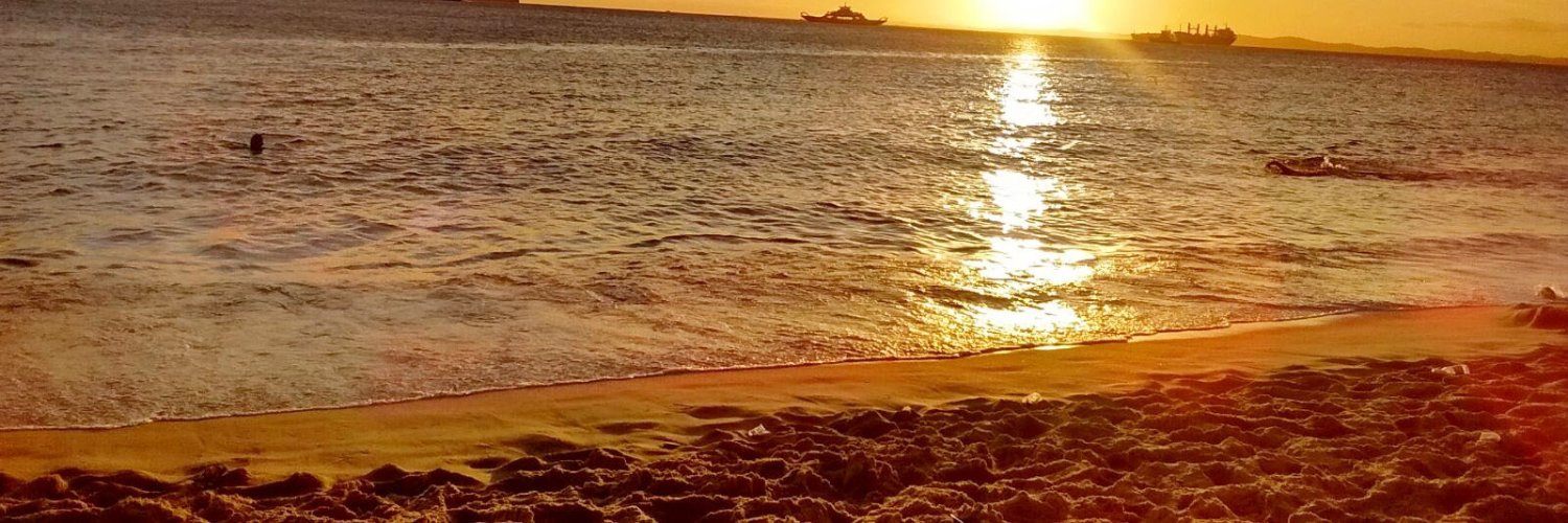 simone_calixto's profile banner image