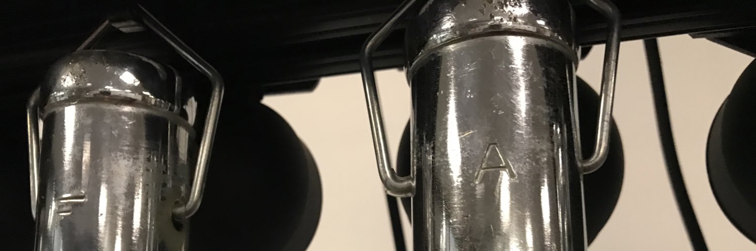AnnParadiso's profile banner image