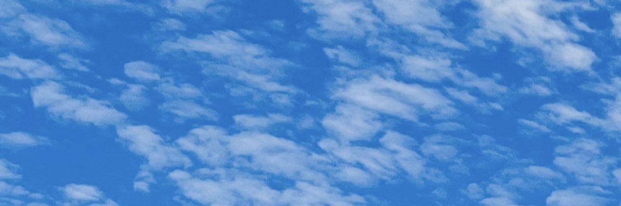 Danuribet's profile banner image