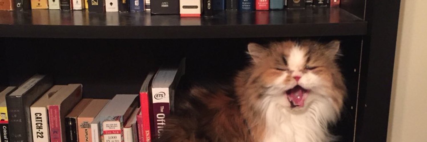 And_Katelynn's profile banner image