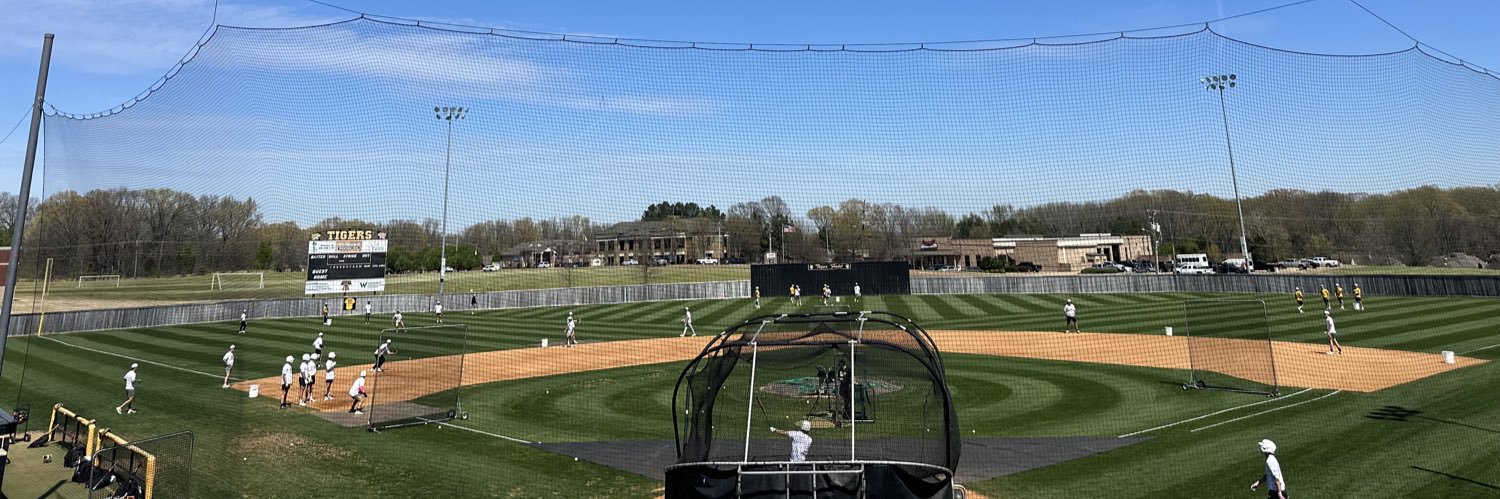 Hernando Tiger Baseball's banner