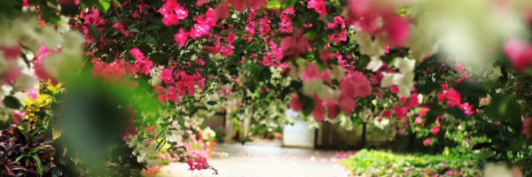 ikeP_hiroki Profile Banner