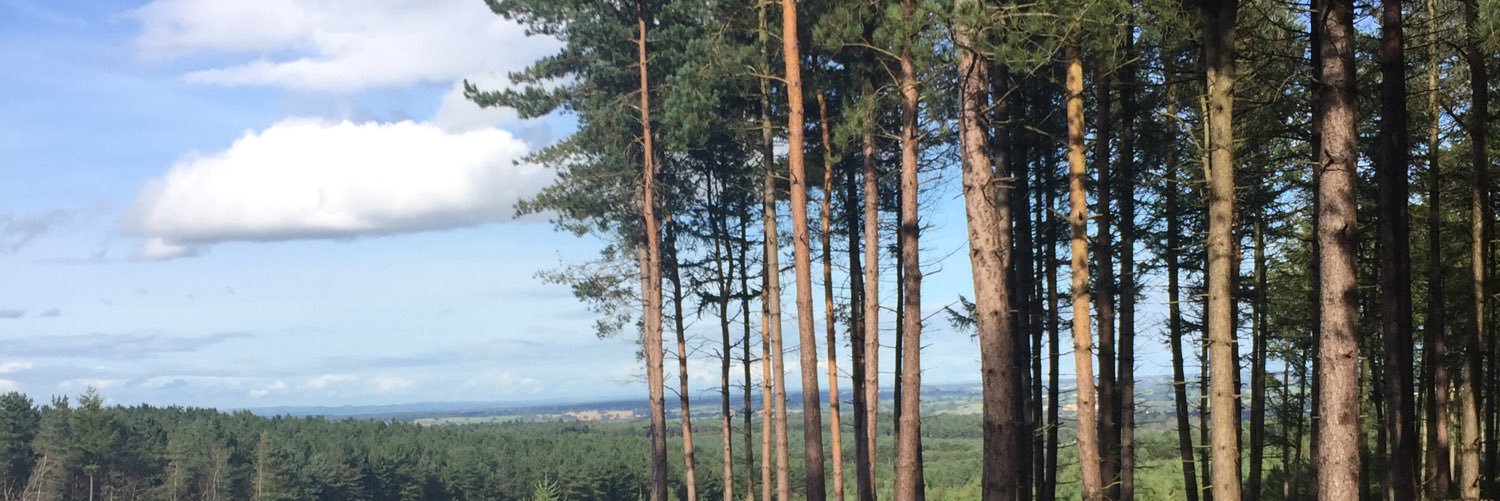 SallyWJones's profile banner image