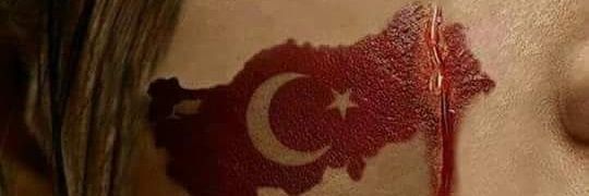 2829turan's profile banner image