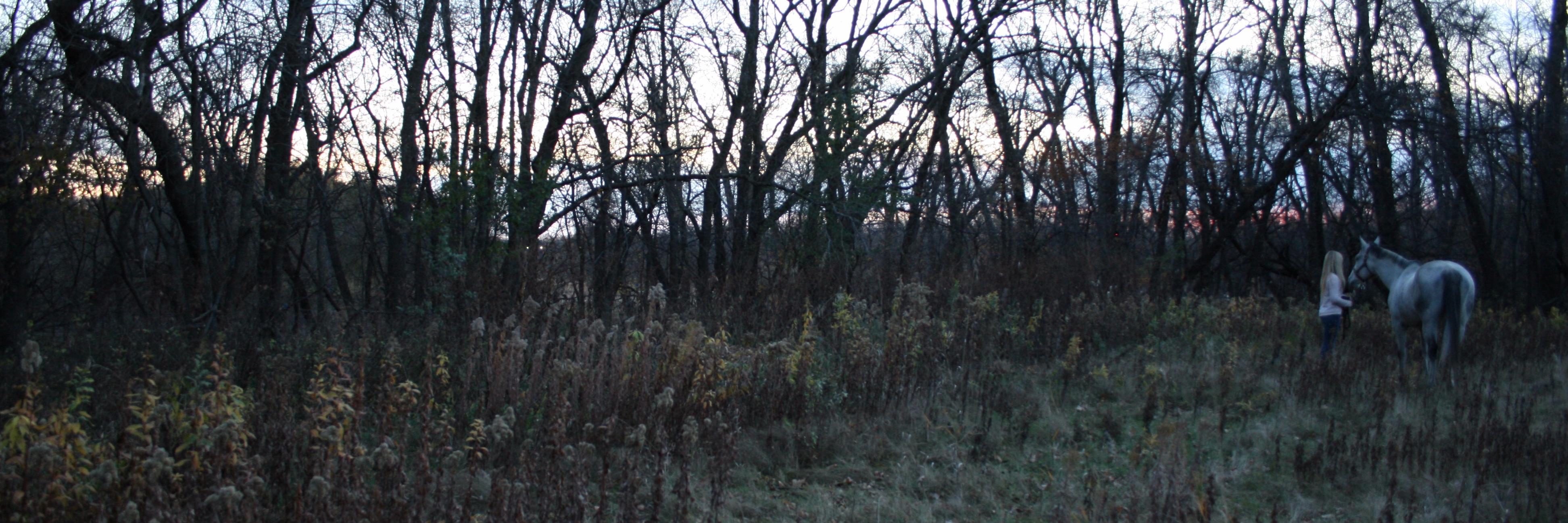greta_kate's profile banner image