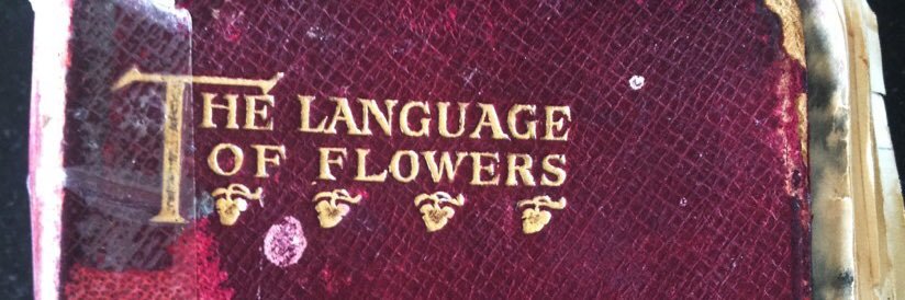 ChanellePoem's profile banner image