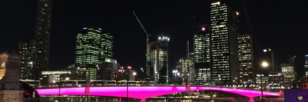 luz johanna perdomo banner