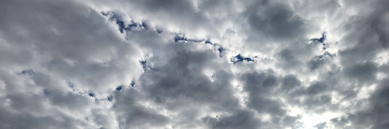 BreeNatalyGee's profile banner image