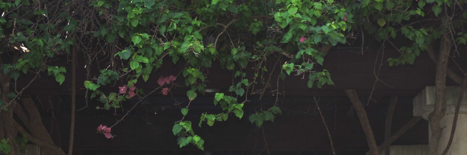 day11395's profile banner image