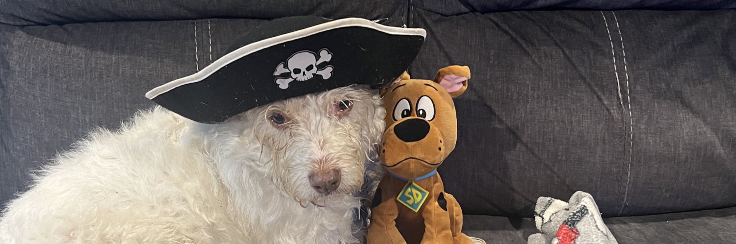 britmstovall's profile banner image