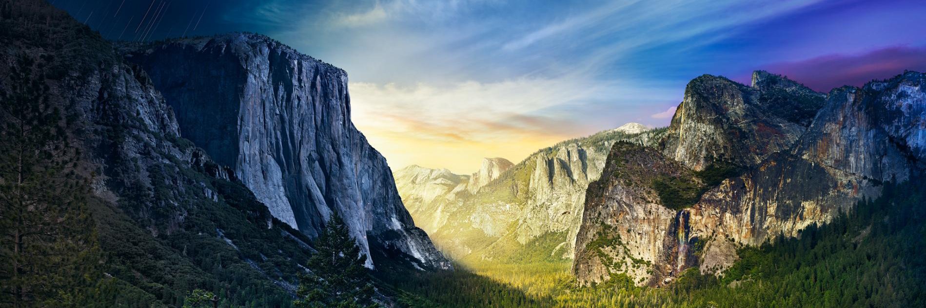 Photography banner