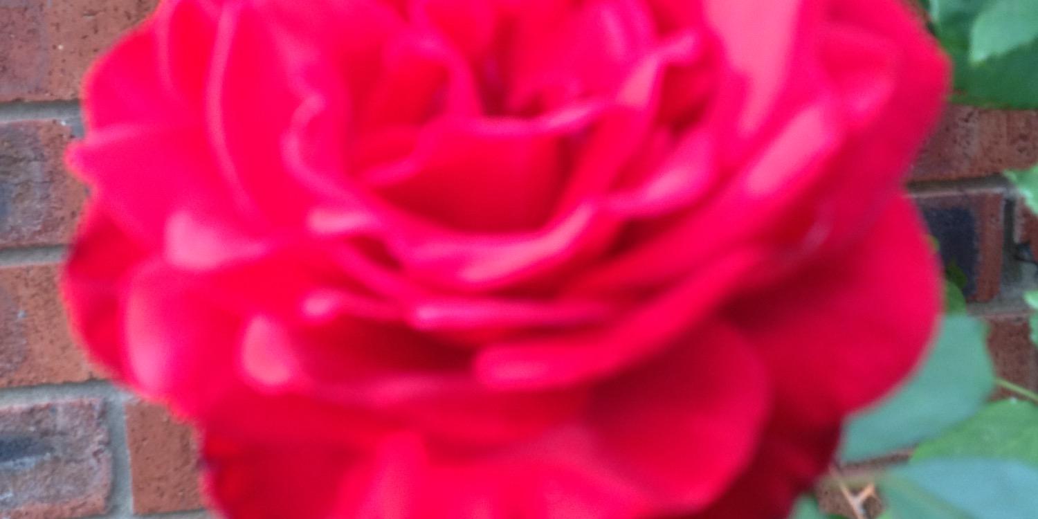 MariaChrz's profile banner image