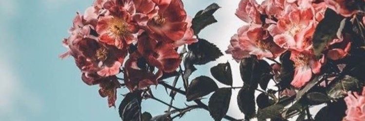 Marián Mendoza banner