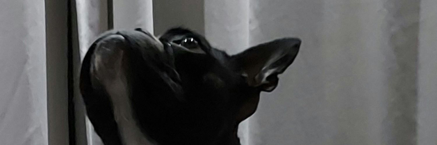 malancer1's profile banner image