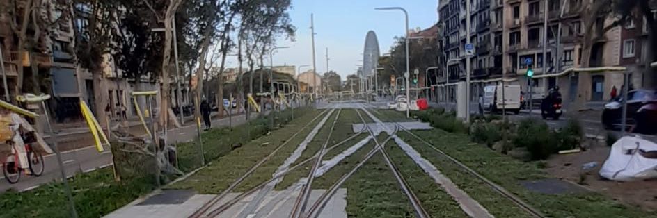 David González banner