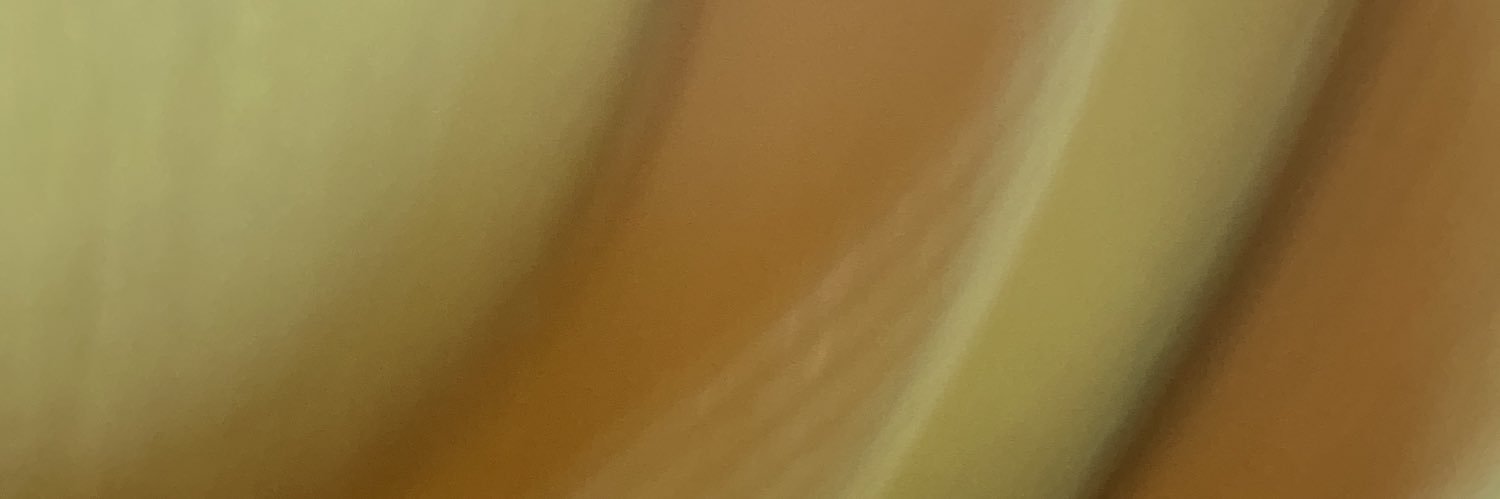 رفاع العتيبي banner