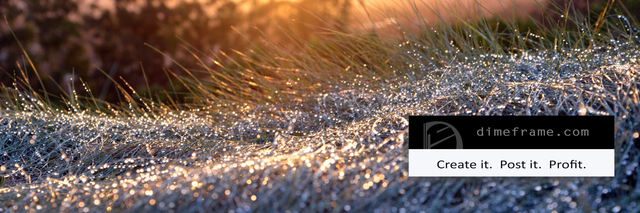 DimeFrame's profile banner image
