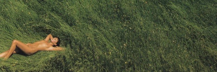 Pintolavah's profile banner image