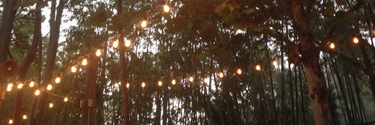 taniab47's profile banner image