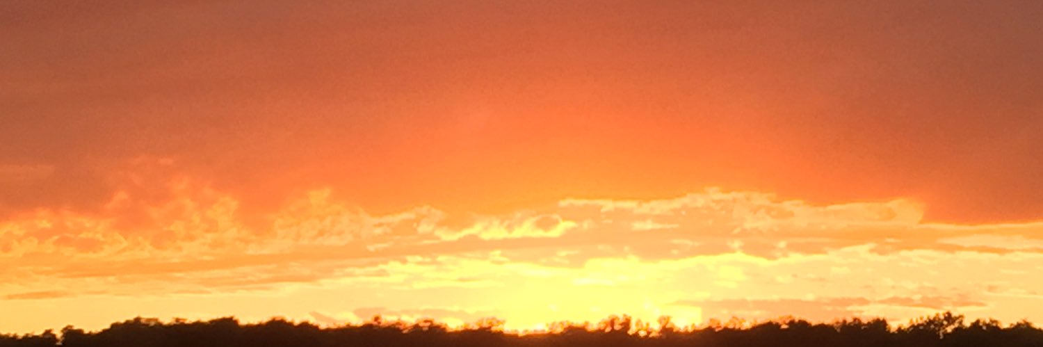 MissToriAdore's profile banner image