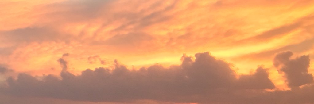 RsLus6's profile banner image