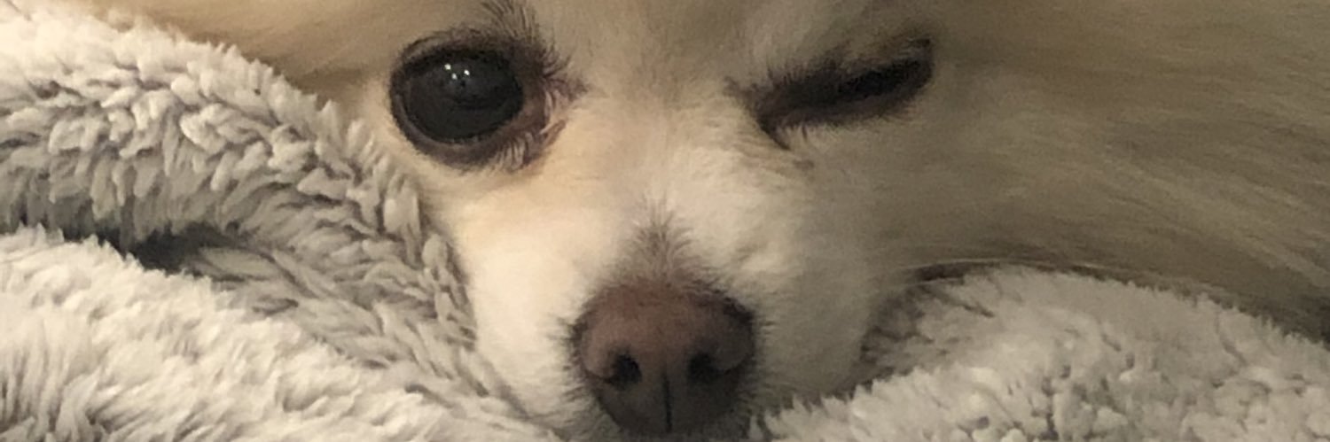 cgreissel's profile banner image