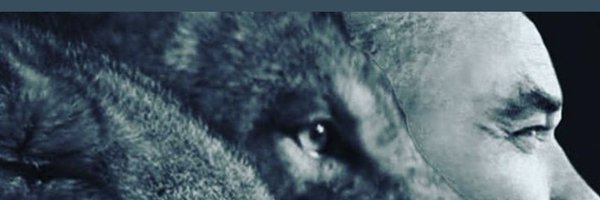 tibetde Profile Banner