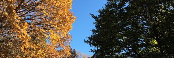 newsient Profile Banner