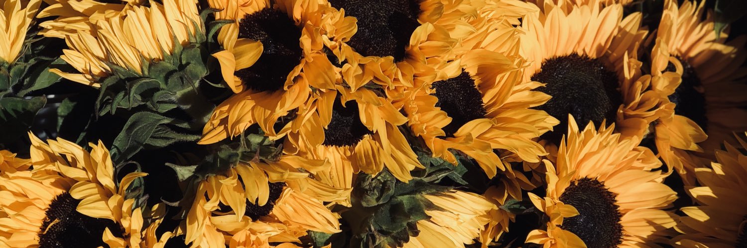 brit_ho23's profile banner image