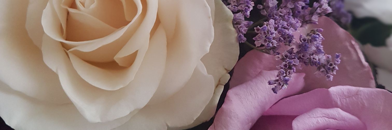 Tiffijayne's profile banner image