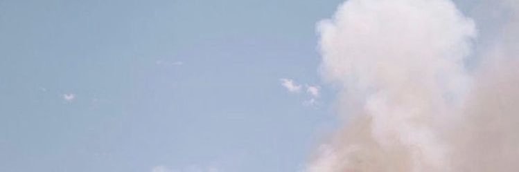 mayaemcgee's profile banner image