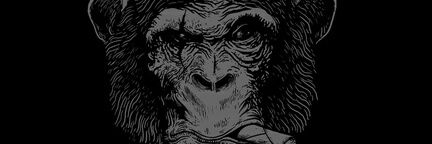 dualitygonzalez's profile banner image