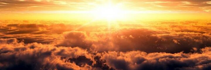 Amal Alshehri banner