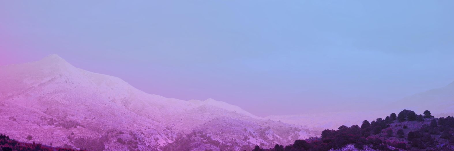 MS00es's profile banner image