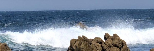 RPANACCI Profile Banner