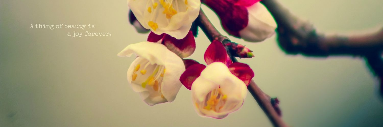 Paquigr77's profile banner image