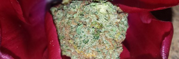 MJWriter87 Profile Banner