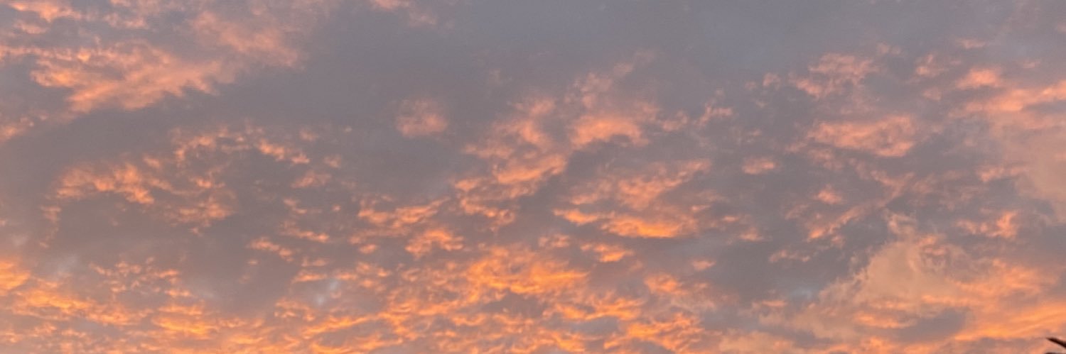 itzeelpr's profile banner image