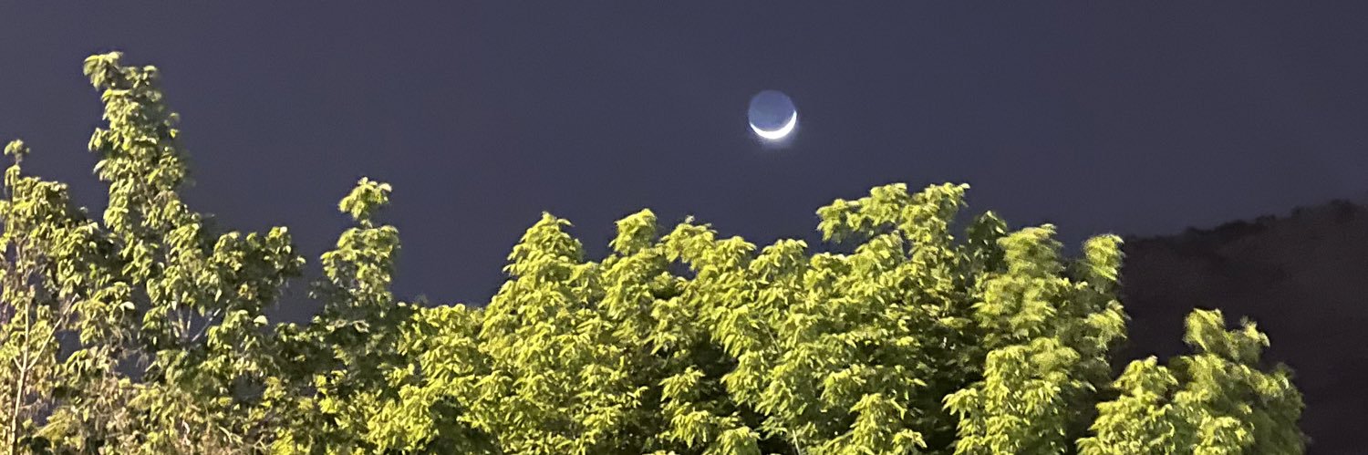 حسن اسدی زیدآبادی's banner