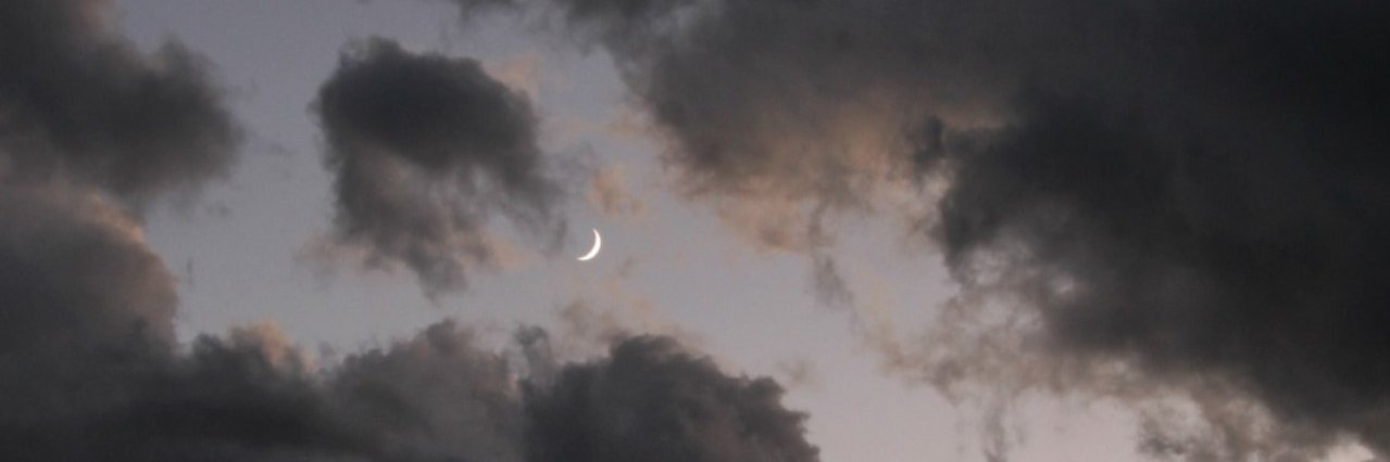 unicorn_rex's profile banner image