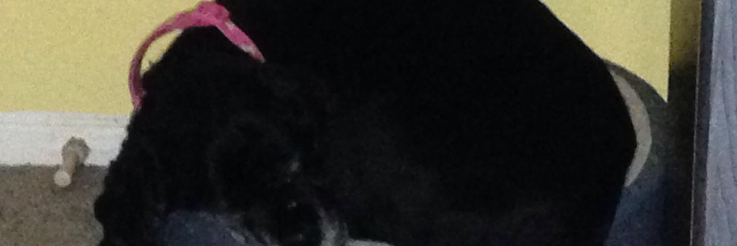 Tara8276's profile banner image