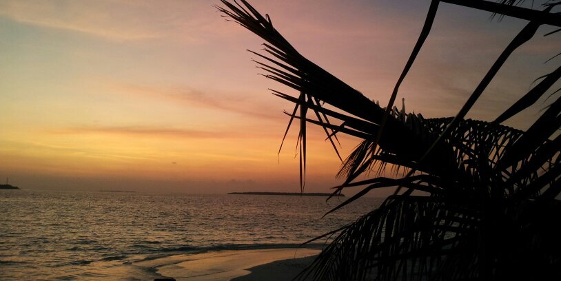 shazza330's profile banner image