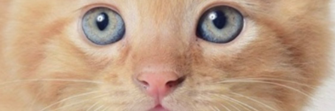 action_cracka23's profile banner image