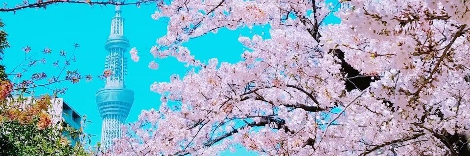 sss_mochico's profile banner image