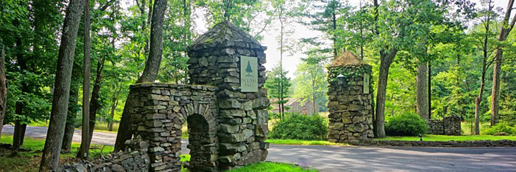 BuckHillFalls's profile banner image