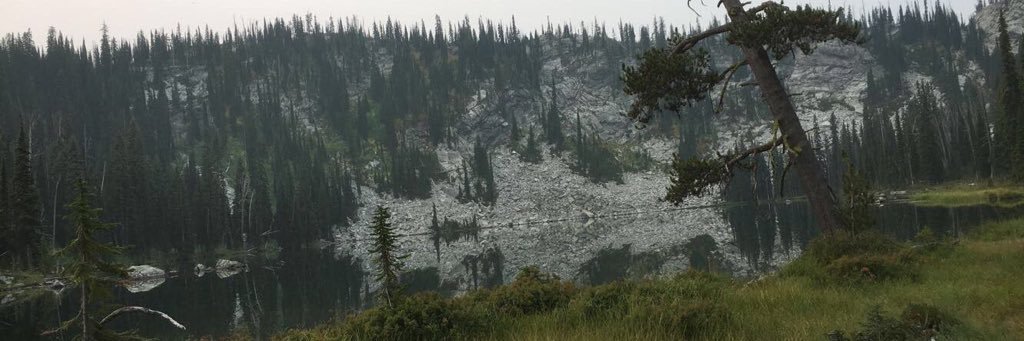 thomas_sommer1's profile banner image